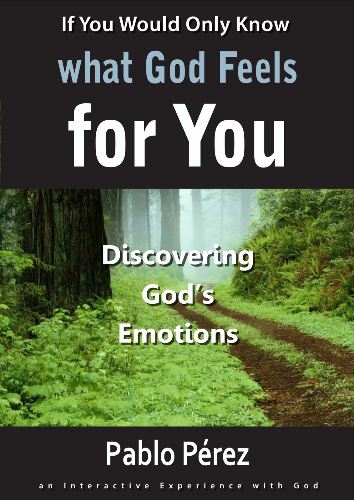 If You Would Only Know What God Feels For You