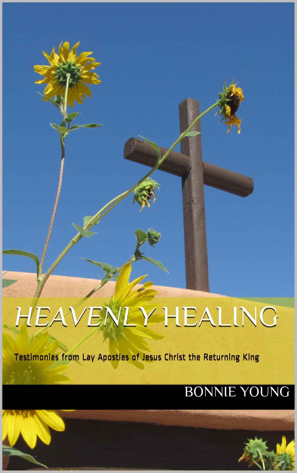 Heavenly Healing