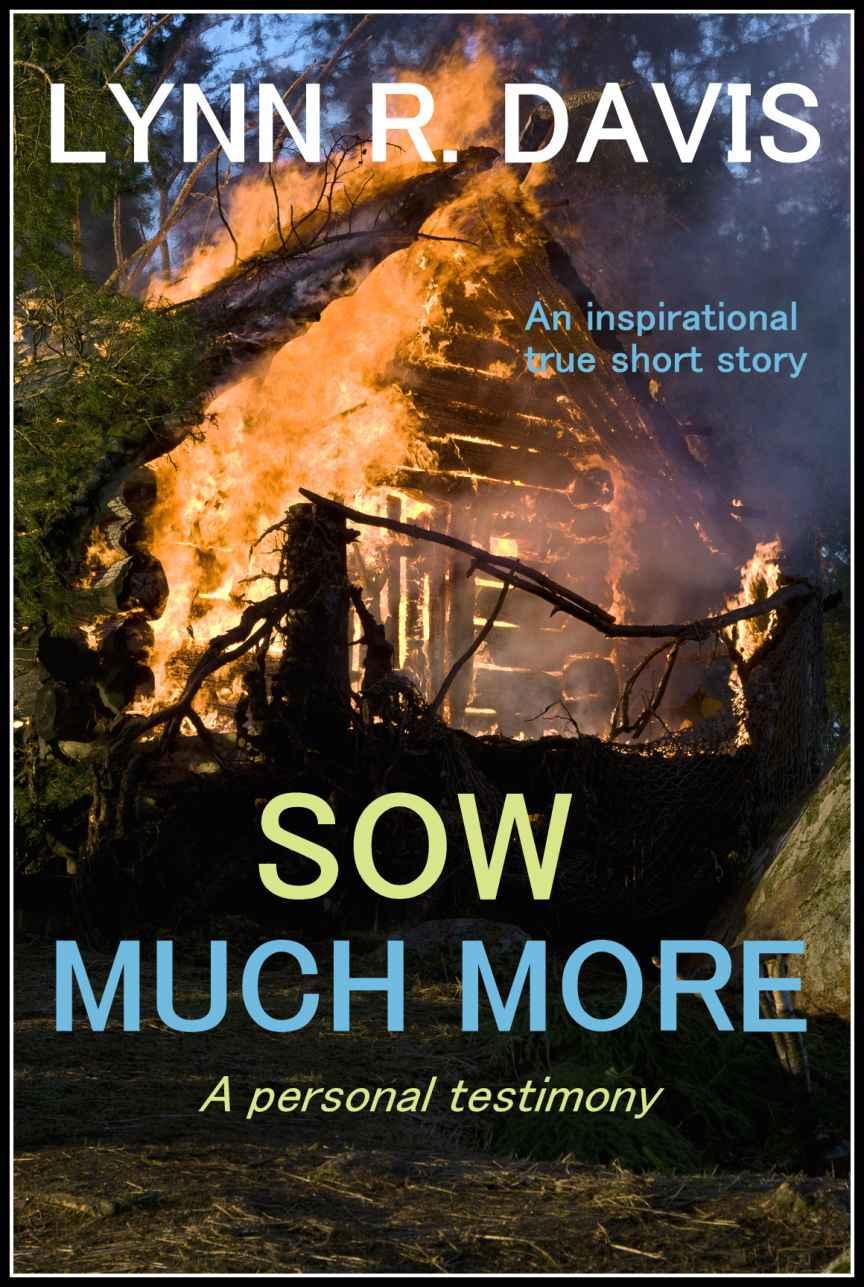 Sow Much More, a Personal Testimony (An Inspirational True Short Story)