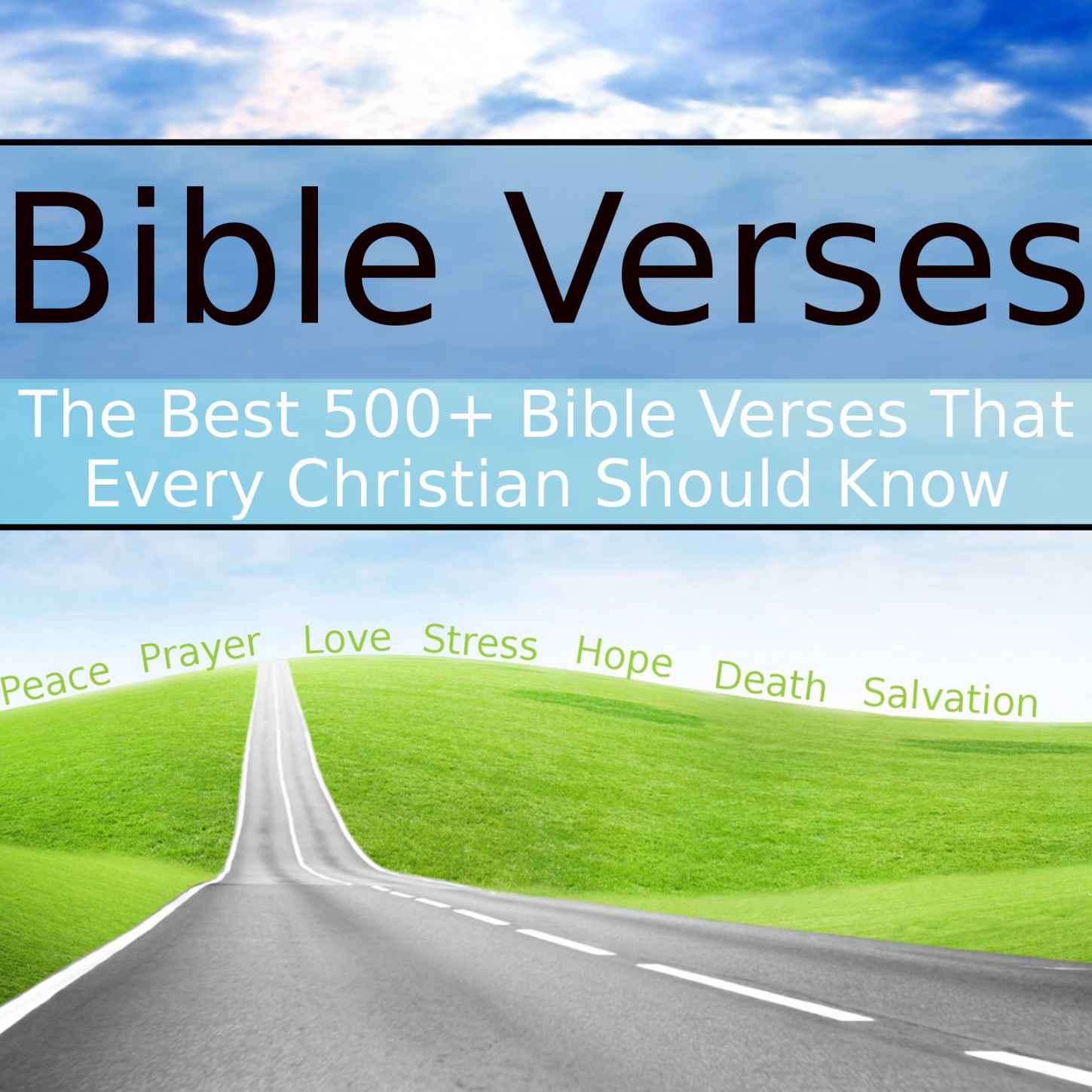 Bible Verses: The Best 500+ Bible Verses That Every Christian Should Know