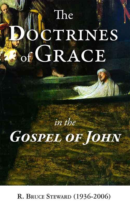 A Brief Study of the Doctrines of Grace in the Gospel of John
