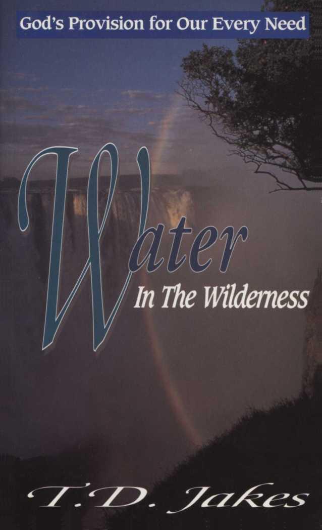 Water in the Wilderness: God's Provision for Our Every Need