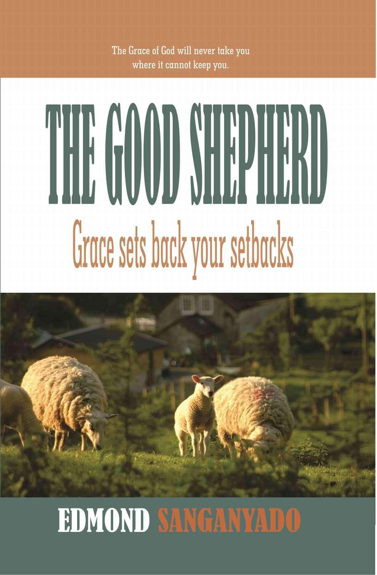 The Good Shepherd: Grace Sets Back Your Setbacks