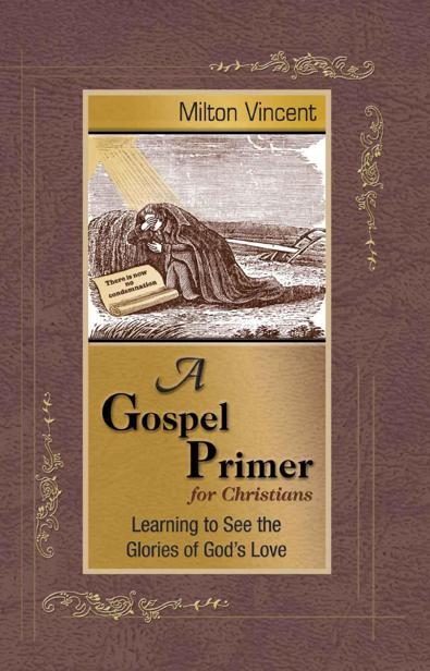 A Gospel Primer for Christians: Learning to See the Glories of God's Love
