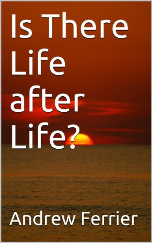 Is There Life After Life?