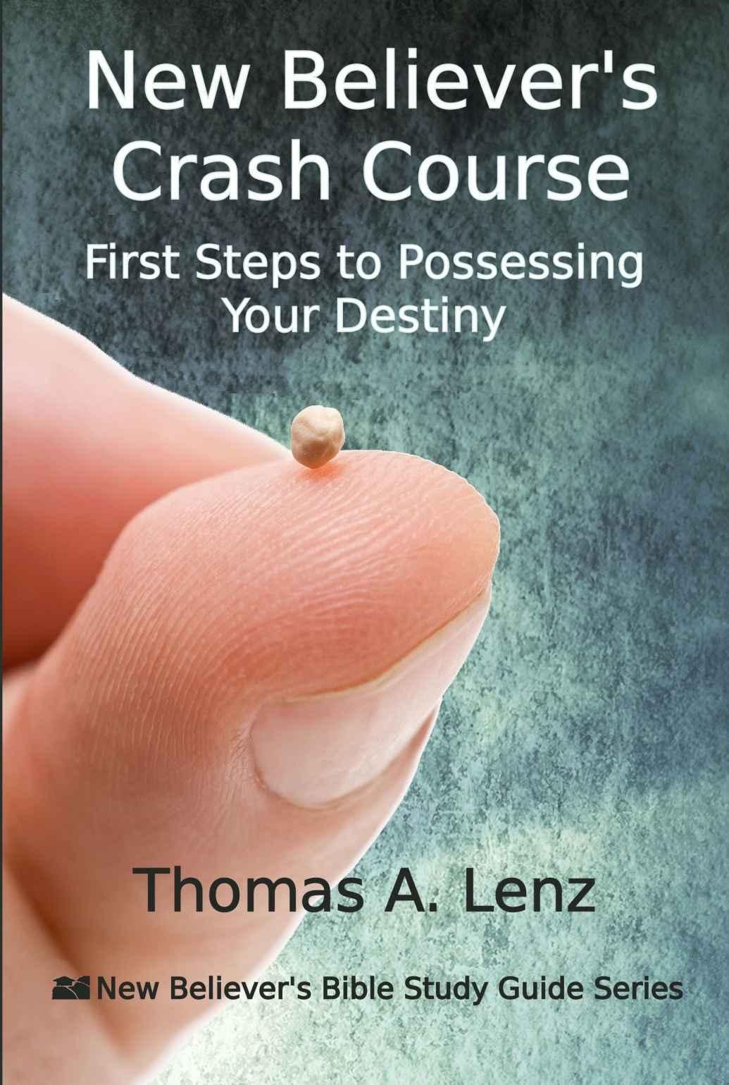 New Believer's Crash Course: First Steps to Possessing Your Destiny