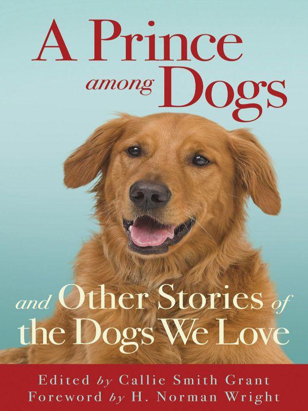 A Prince Among Dogs: And Other Stories of the Dogs We Love