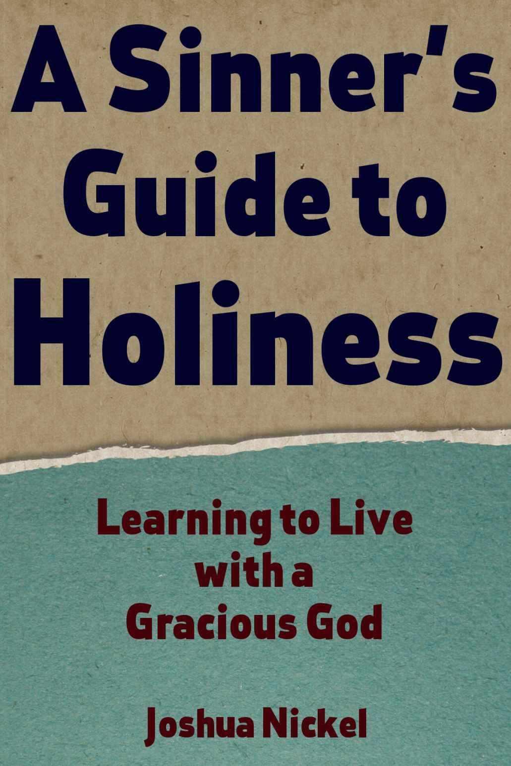 A Sinner's Guide to Holiness: Learning to Live With a Gracious God