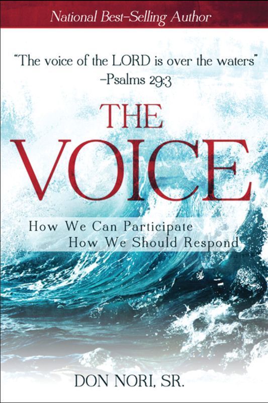 The Voice: How We Can Participate, How We Should Respond