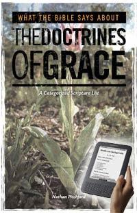 What the Bible Says About the Doctrines of Grace