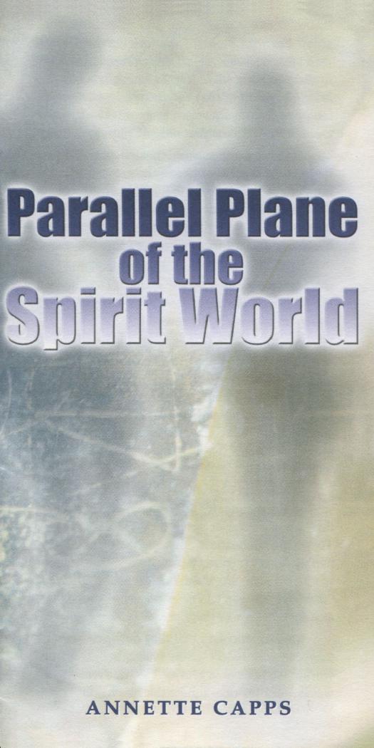 The Parallel Plane of the Spirit World