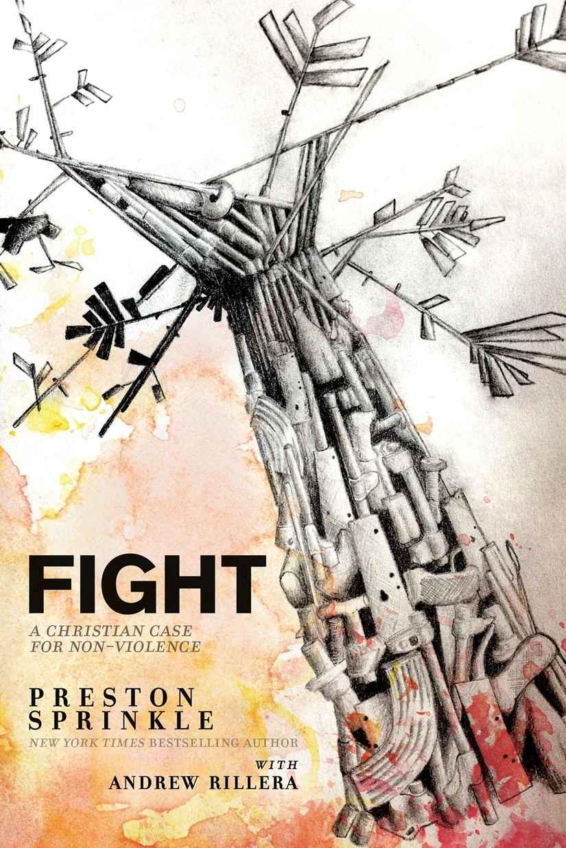 Fight: A Christian Case for Non-Violence