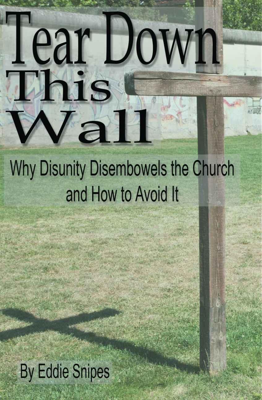 Tear Down This Wall!: Why Disunity Disembowels the Church and How to Avoid It