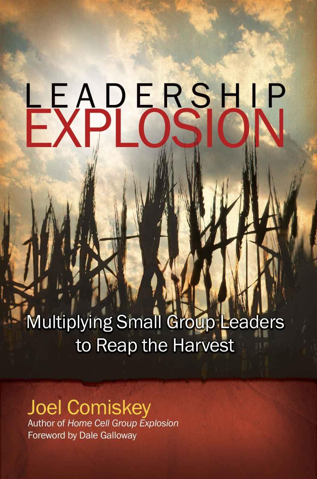 Leadership Explosion: Multiplying Cell Group Leaders for the Harvest
