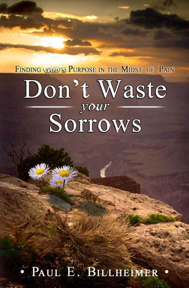 Dont Waste Your Sorrows: Finding God's Purpose in the Midst of Pain