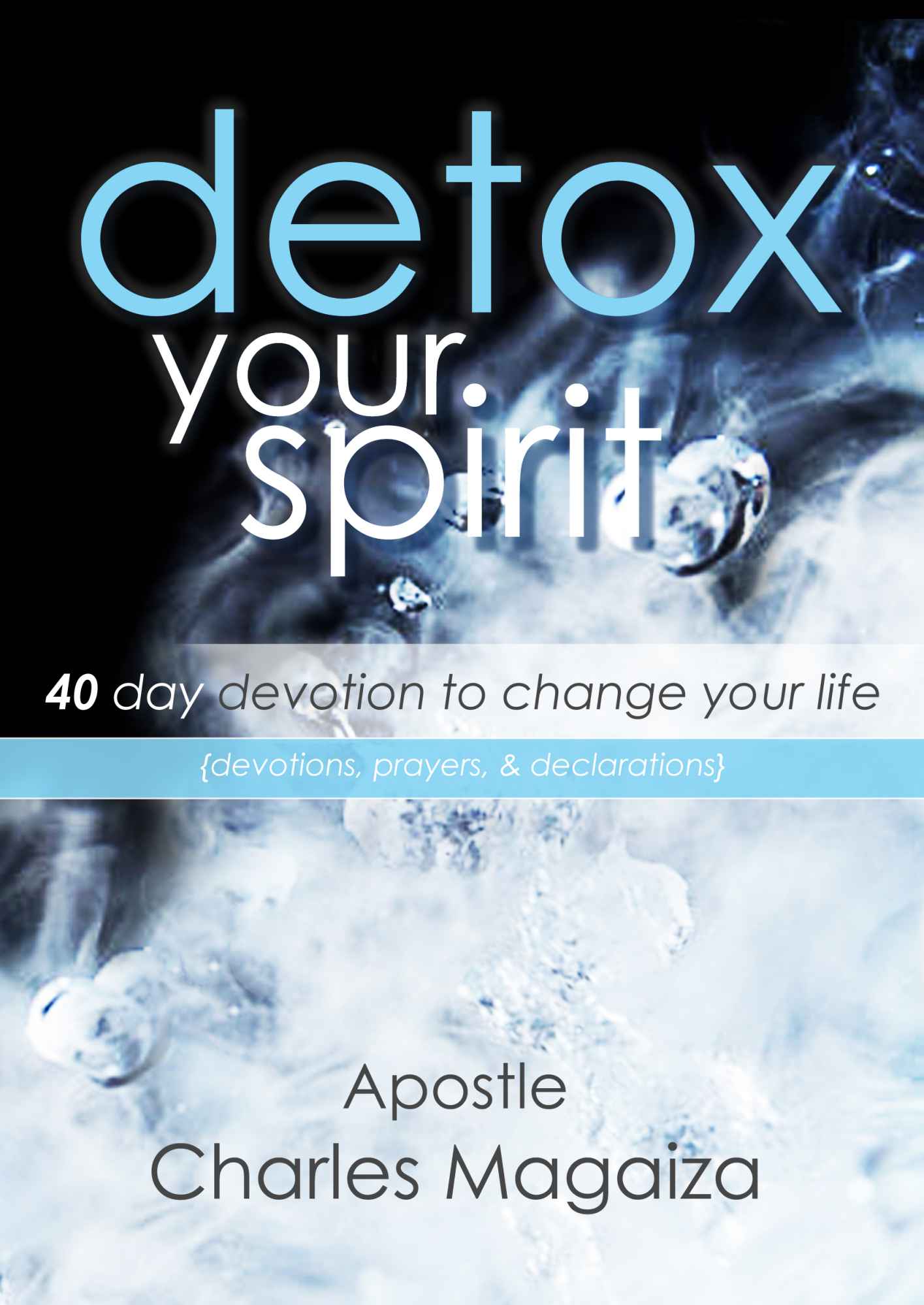 Detox Your Spirit: 40 Day Devotion to Change Your Life