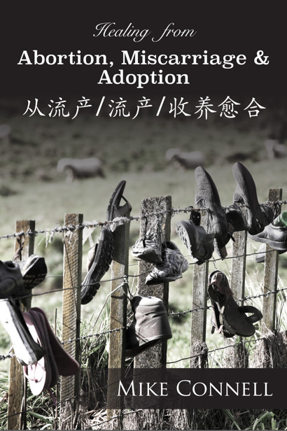 Healing From Abortion, Miscarriage & Adoption Cong Liu Chan Liu Chan Shou Yang Yu He