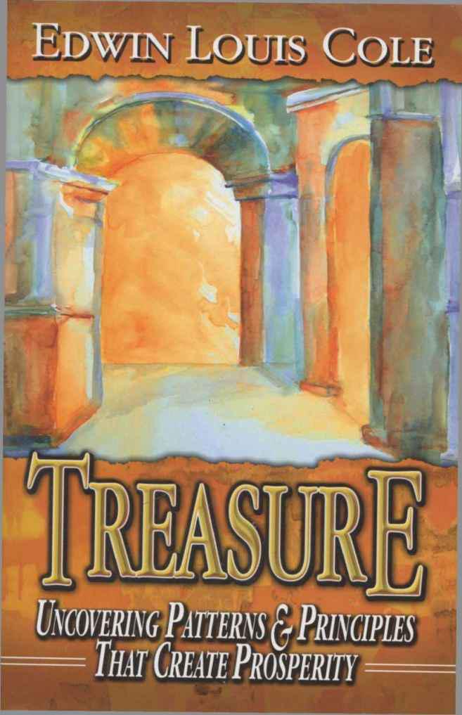 Treasure: Uncovering Patterns & Principles That Create Prosperity
